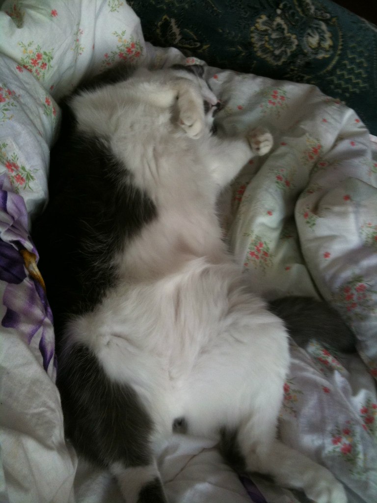 Аня Пилипович | Киев