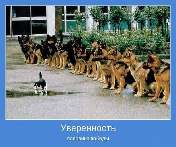 Сергей Глушков | Санкт-Петербург