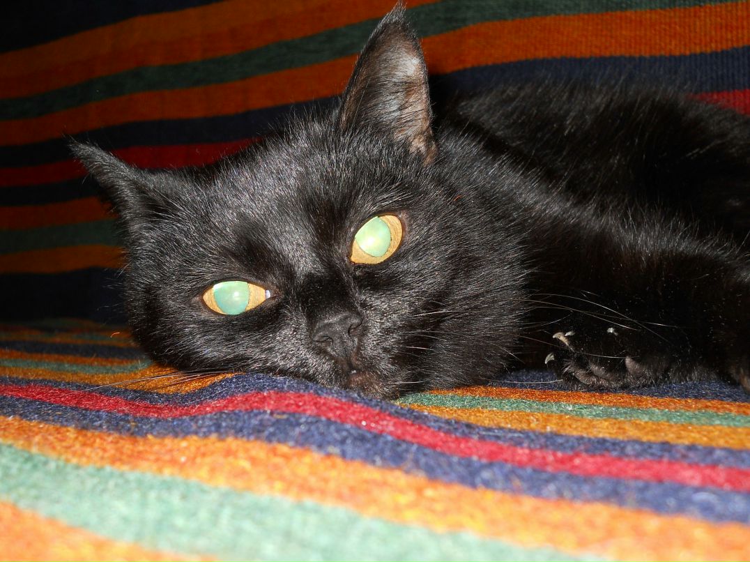 Аня Степанова | Санкт-Петербург