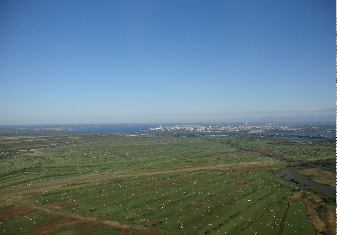 Игорь Виноградов | Санкт-Петербург