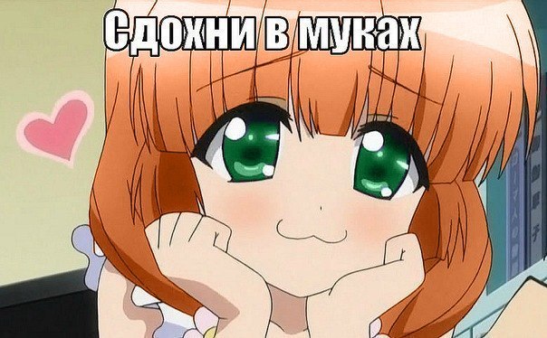 Андрей Шураев DrCox | Санкт-Петербург