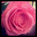 №12, Karina Starostina, 23.3, Санкт-Петербург, Россия