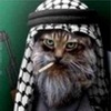 Фотография Александр Фоминский