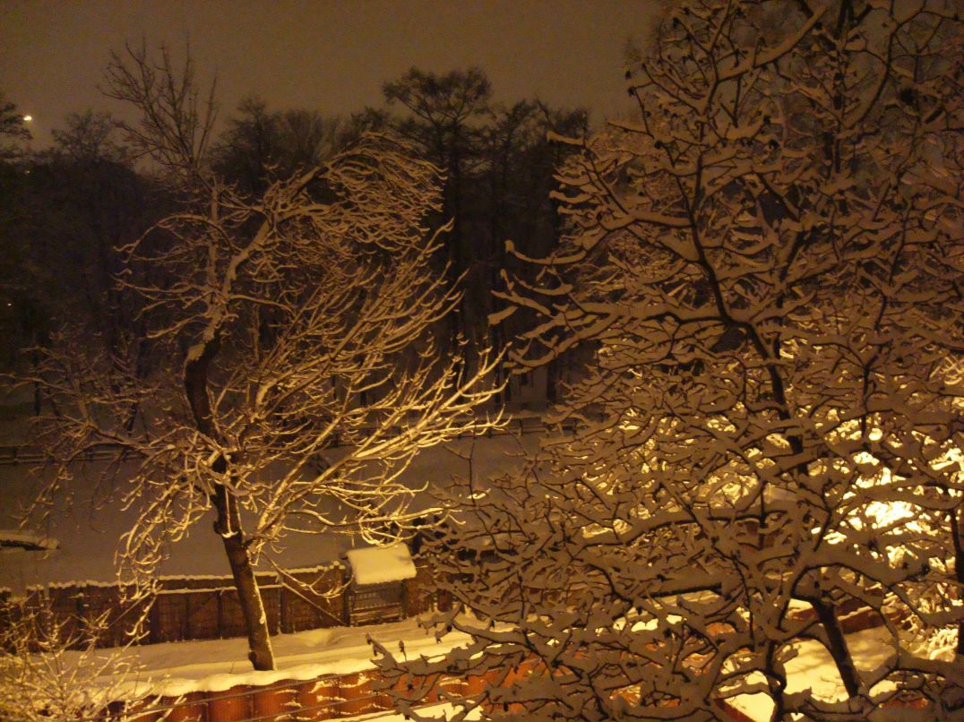 Настена Король @Ангелочек@ | Киев