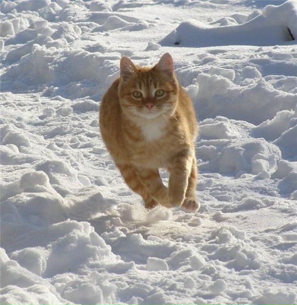 №34, Ваня Козяр, Магнитогорск №34, Ваня Козяр, Магнитогорск