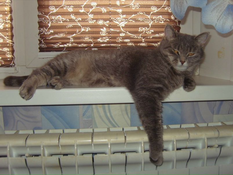 №7, Светлана Дюкова, Красноярск №7, Светлана Дюкова, Красноярск