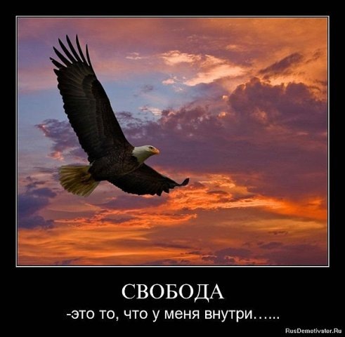 №50, Адріан Захарків, Львов №50, Адріан Захарків, Львов