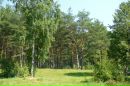 №36 Татьяна Борисова 11.08.1998: профиль, фото, статус - ВКонтакте