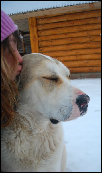 №83, Екатерина Симонова №83, Екатерина Симонова