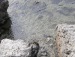 Наталья Пензий фотография #16
