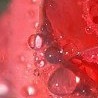 №130, Валерия Кудинова, Херсон №130, Валерия Кудинова, Херсон
