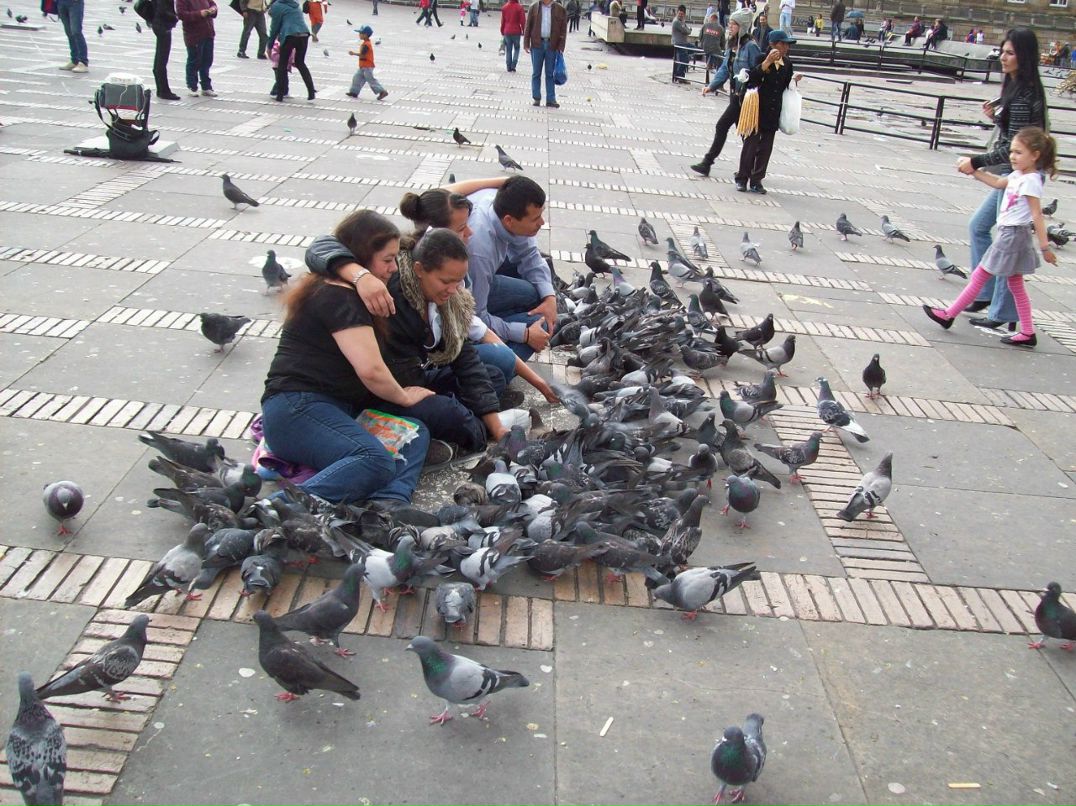 Артем Шульгин | 