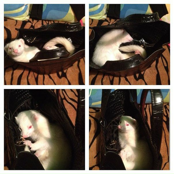 №148, Екатерина Федечкина, 43 года, Обнинск, Россия №148, Екатерина Федечкина, 43 года, Обнинск, Россия