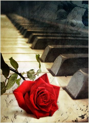 №17, Виктория Кабина, Волгоград №17, Виктория Кабина, Волгоград