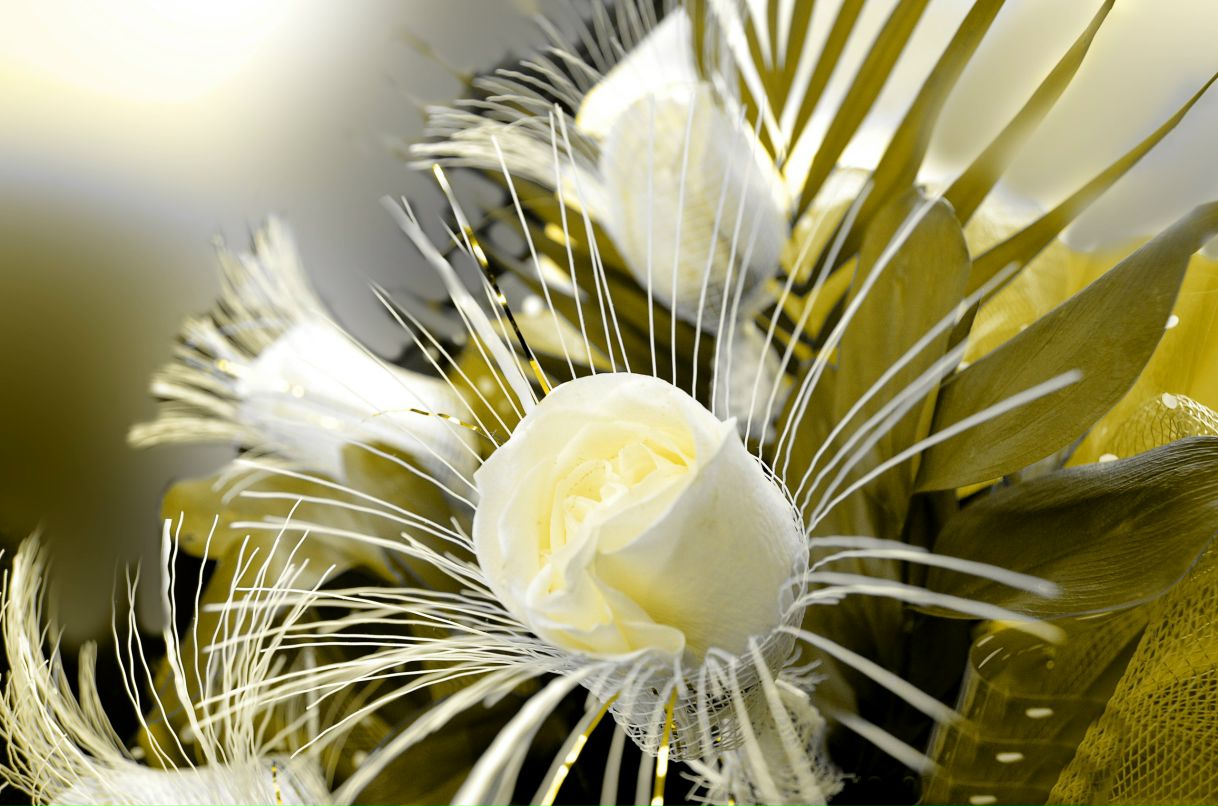 Юлия Демо | Полтава