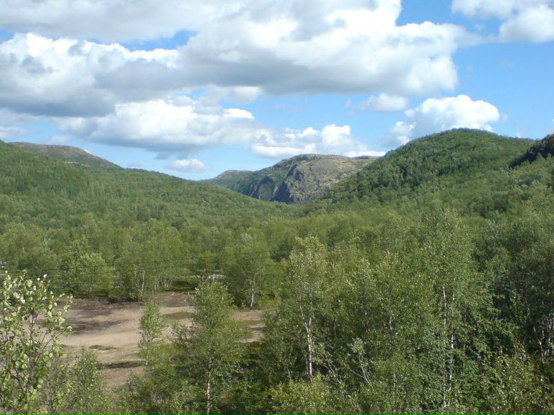 Дмитрий Карчаускас | Мурманск