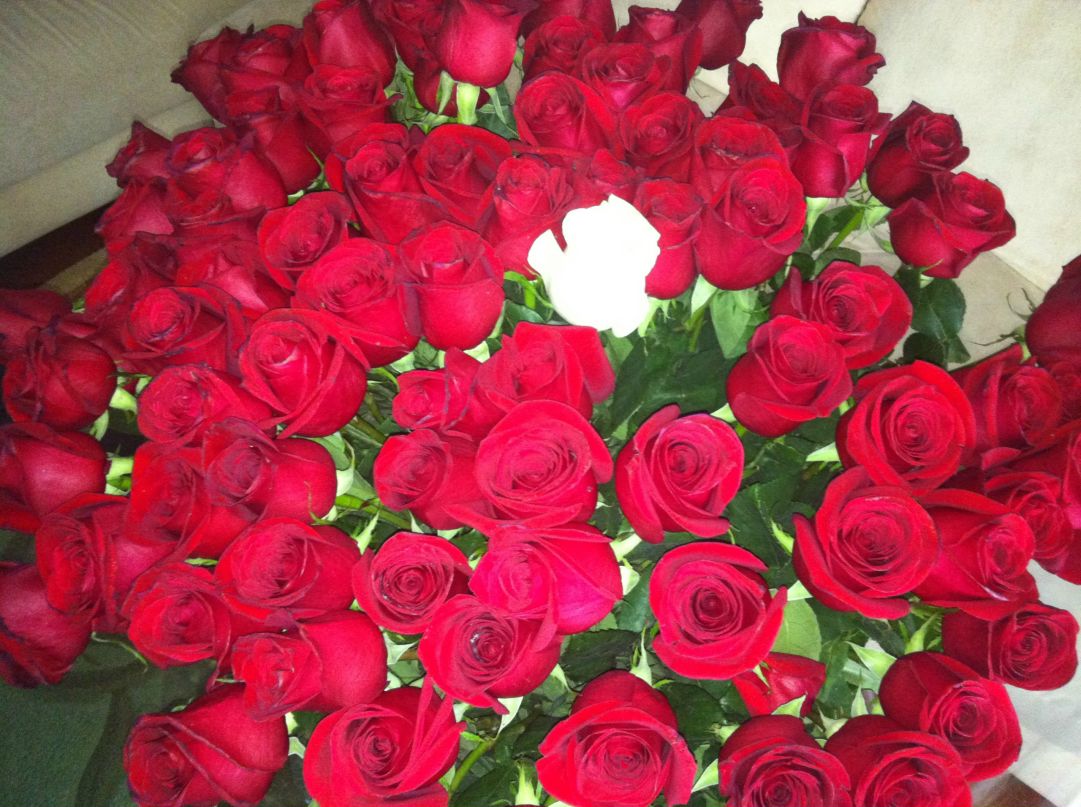 Людмила Сафонова | Tórshavn