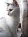 Фотография Андрей Коршунов