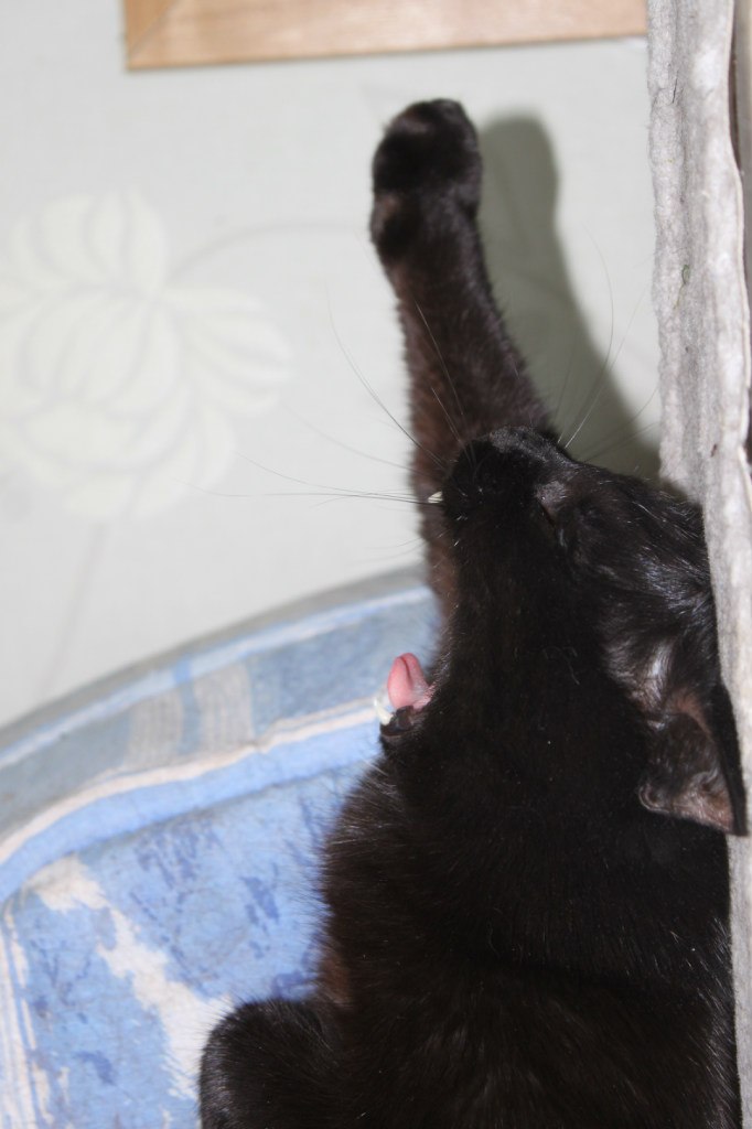 Ирина Мисюренко | Санкт-Петербург