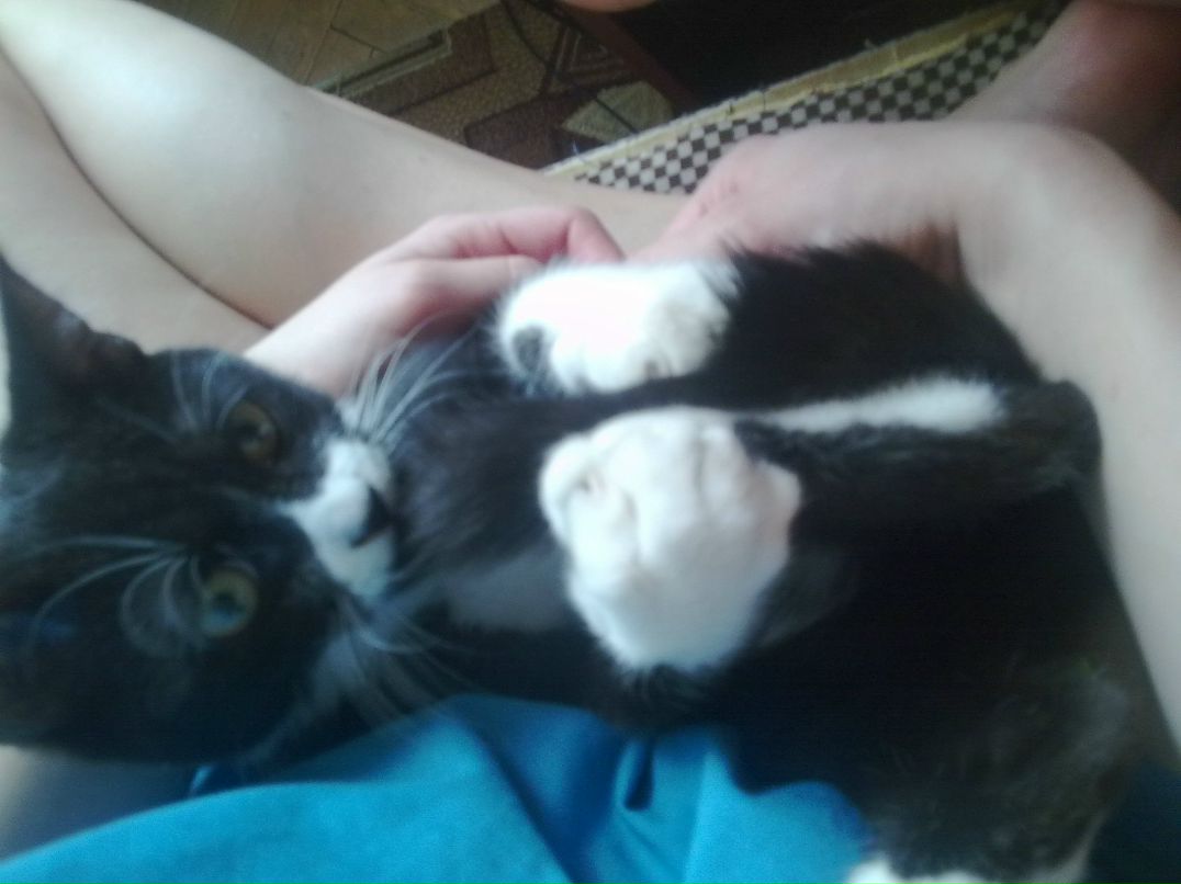 Владислав Наков | Москва