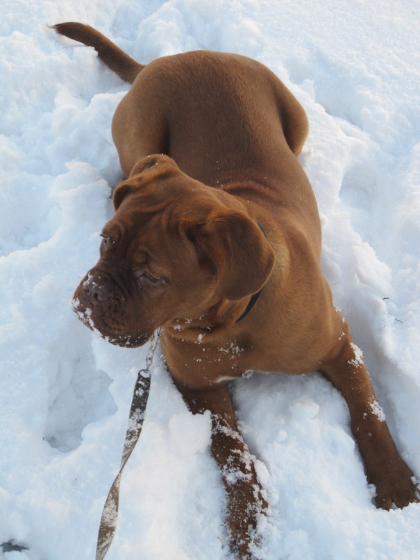 Екатерина Иванова | Санкт-Петербург