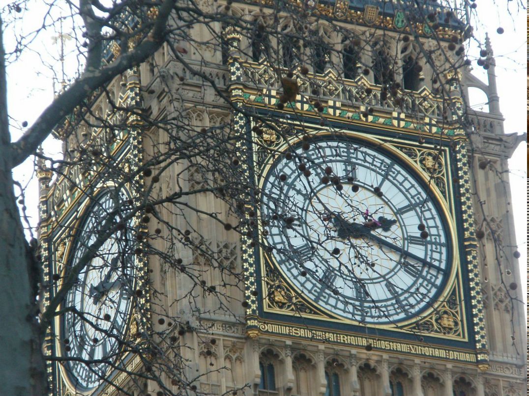 Сергей Бабко-Малый | Boston