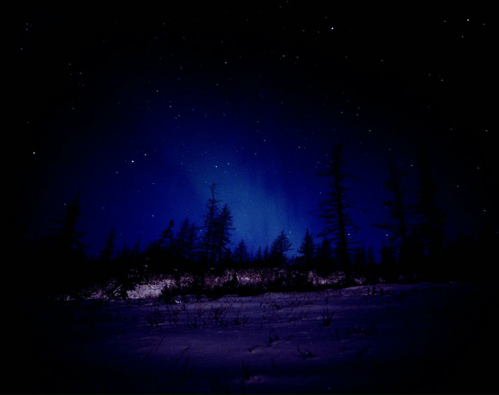 Александр Егоров | Красногорск