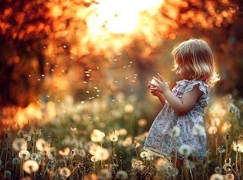 №103, Светлана Манохина, Новосибирск №103, Светлана Манохина, Новосибирск