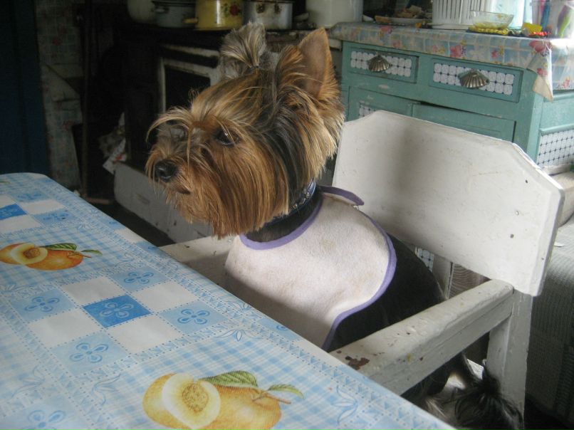 Влад Константинов | Санкт-Петербург