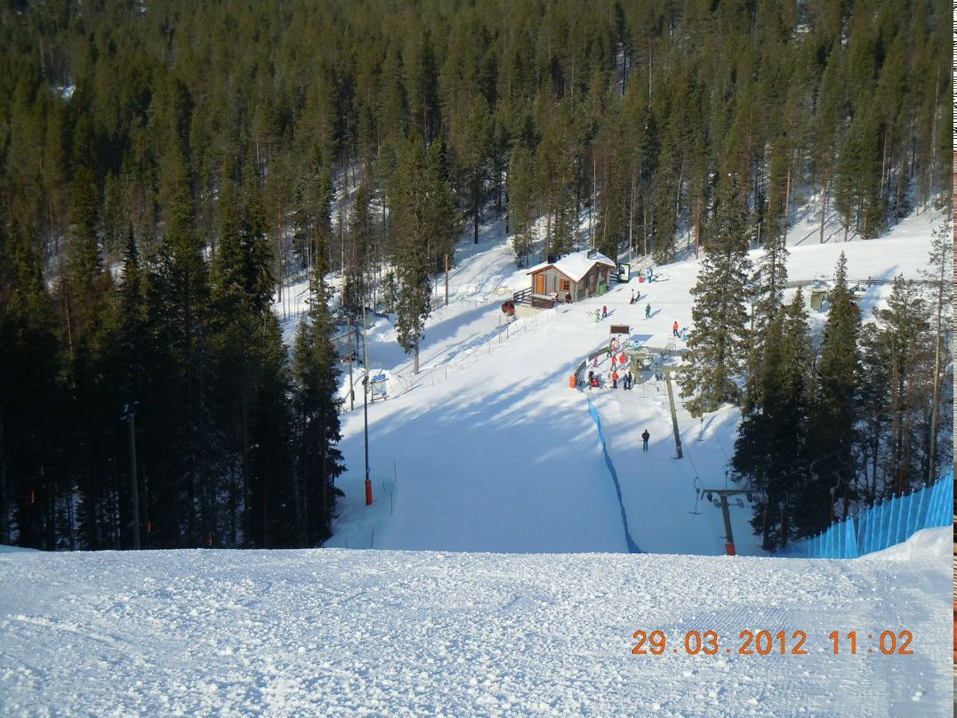 Алексей Горланов | Санкт-Петербург