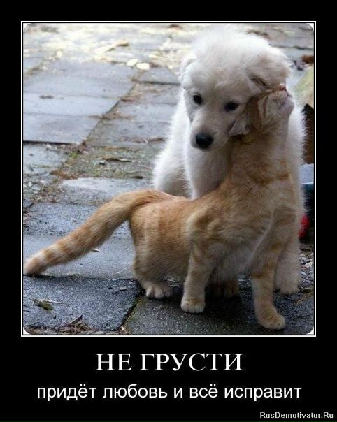 №97, Евгений Куксов, Северодвинск №97, Евгений Куксов, Северодвинск