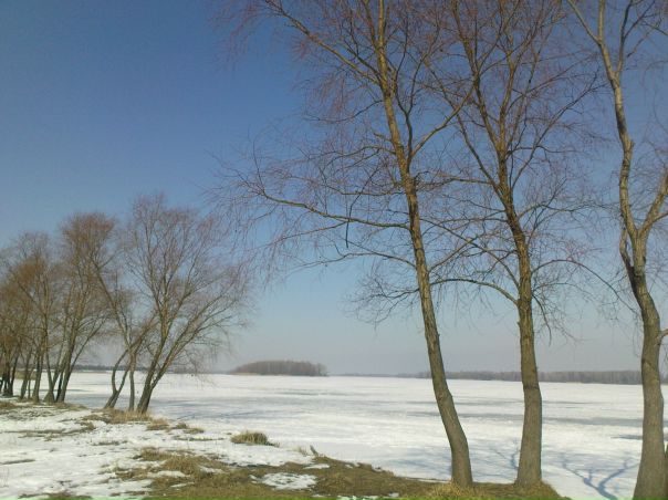 №138, Антонина Цыганко, Киев №138, Антонина Цыганко, Киев