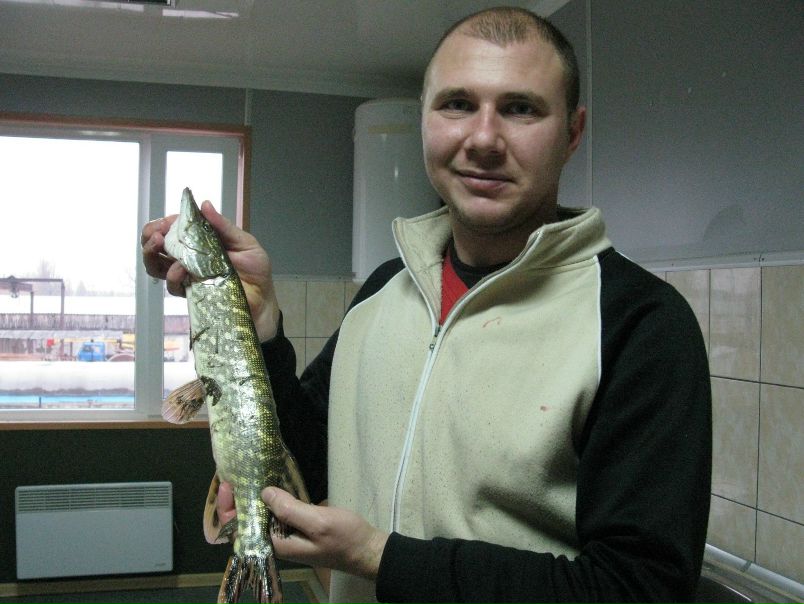 №2, Олексій Беженар №2, Олексій Беженар