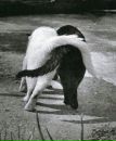 Фотография Иван Клемпотюк