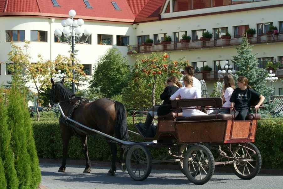 №94, Александр Рольбинов №94, Александр Рольбинов