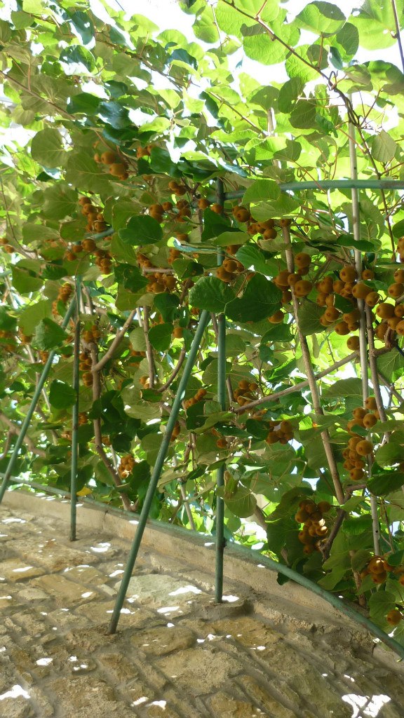 Юрий Юша | Ростов-на-Дону