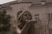 Алексей Комышан фотография #14