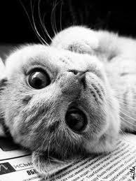 Надежда Андрюшкова ♥♥♥ | Донецк