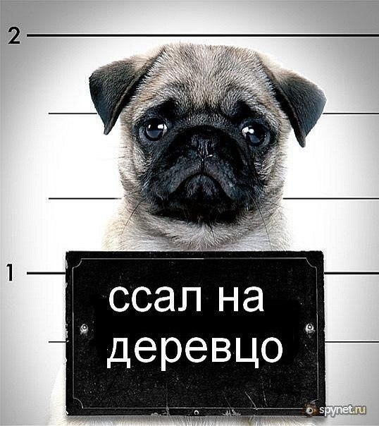 Витя Сущук | Белая Церковь