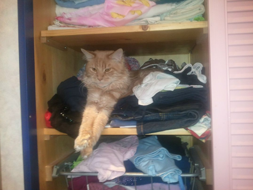 Ариша Плетнева Геннадьевна | Москва