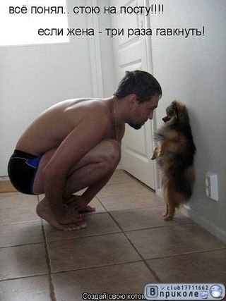 Дарина Тесля | Львов