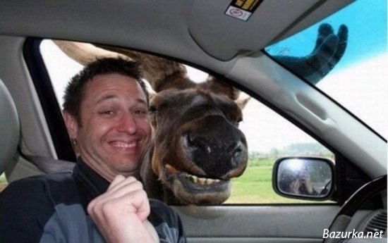 №164, Микхаил Иванов, 37 лет, Москва №164, Микхаил Иванов, 37 лет, Москва