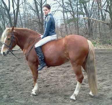 Александра Мустафаева | Киев