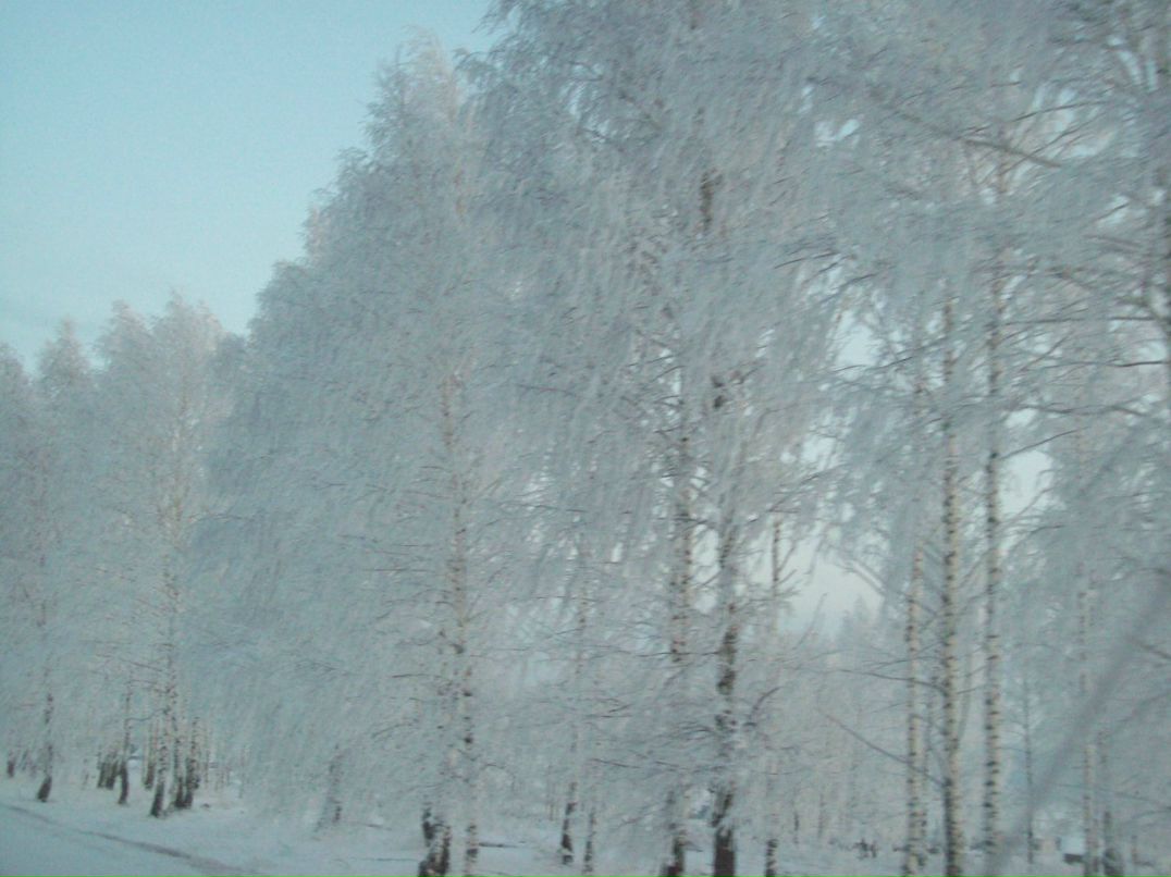 Ольга Мещерякова | Тольятти