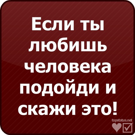 №5, Ксения Городинова №5, Ксения Городинова