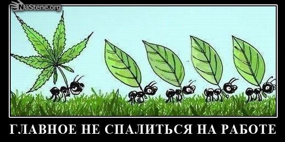 №65, Vasilii Bezzoni, Челябинск №65, Vasilii Bezzoni, Челябинск