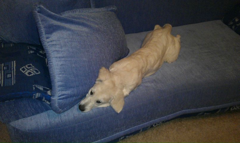 Константин Жарких | Тюмень