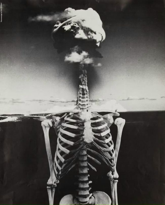 Мария Андрианова | Санкт-Петербург