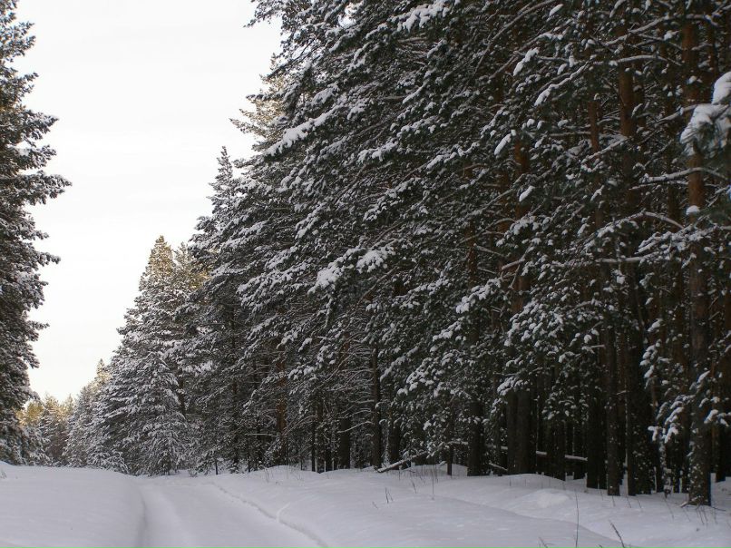 Алексей Друзин | Алатырь