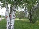 Фотография Андрей Семёнов